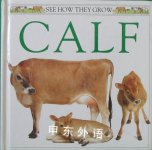 Calf Mary Ling