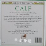 Calf