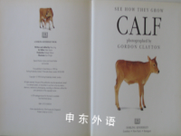 Calf