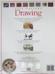 Drawing - a Young Artist's Guide 