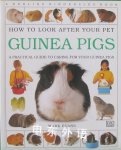 How To Look After Your Pet: Guinea Pigs Mark Evans