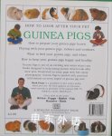 How To Look After Your Pet: Guinea Pigs