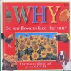Why Do Sunflowers Face the Sun?