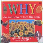 Why Do Sunflowers Face the Sun? DK