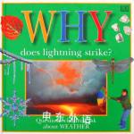 Why Does Lightening Strike? Dorling Kindersley Publishers Ltd