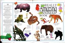 The Really Amazing Animal Book