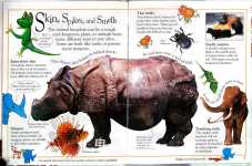 The Really Amazing Animal Book