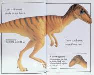 Dinosaur Dinners