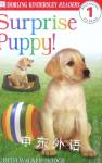 Surprise Puppy (Eyewitness Readers) Judith Hodge