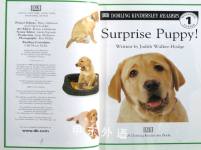 Surprise Puppy (Eyewitness Readers)