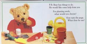 What does PBBear choose