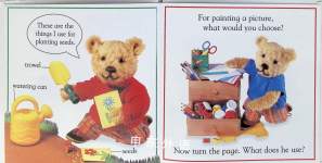 What does PBBear choose