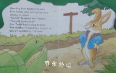 Brer Rabbit: The Turtle Race