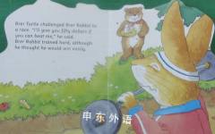 Brer Rabbit: The Turtle Race