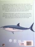 Shark Attack