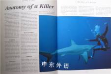 Shark Attack