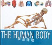 Fantastic Facts About The Human Body John Farndon