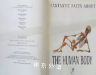 Fantastic Facts About The Human Body