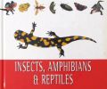 Insects, Amphibians and Reptiles