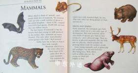 Mammals (Fantastic Facts)