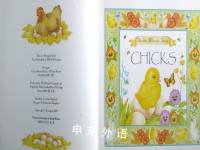 Chicks (Three-minute Tales)