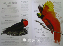 100 Questions and Answers Birds