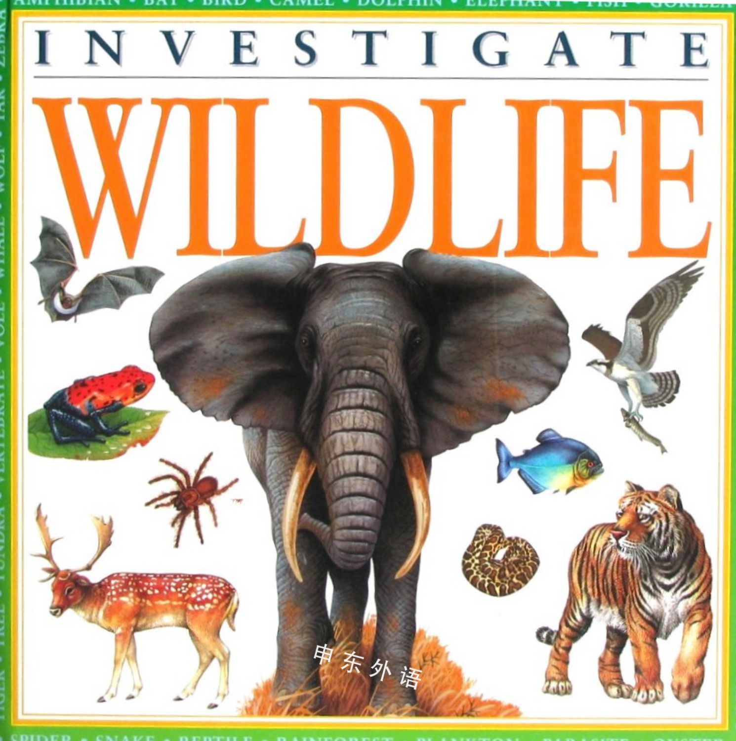 兒童圖書 動物 investigate: wildlife(機器翻譯:探索:野生動物)