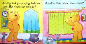 Scruffy Teddy plays hide and seek