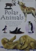 Polar Animals