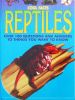 Reptiles (Cool Facts)
