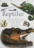 Reptiles Over 100 questions and answers to things you want to know.