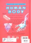 QUESTION  AND ANSWERS Human Body