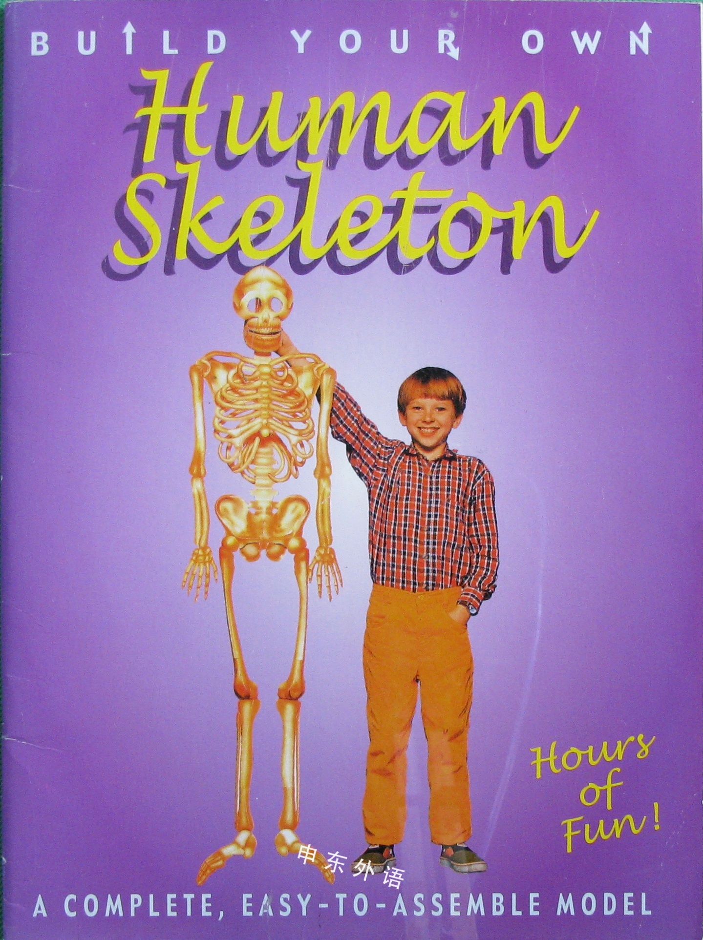 Human Skeleton Build Your Own 解剖及生理学 科学 自然与自然规律 儿童图书 进口图书 进口书 原版书 绘本书 英文 原版图书 儿童纸板书 外语图书 进口儿童书 原版儿童书