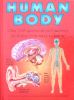 Human Body