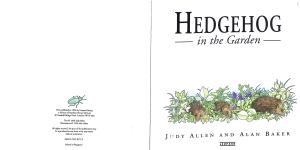 Hedgehog in the Garden