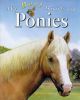 The Best Book of Ponies