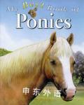 The Best Book of Ponies Kaye Hodges