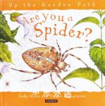 Are You a Spider Judy Allen