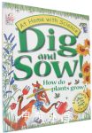 Dig and Sow How Do Plants Grow