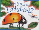 Are you a ladybird?