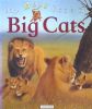 My Best Book of Big Cats