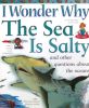 I Wonder Why the Sea Is Salty : And Other Questions about the Oceans