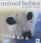 Animal Babies in Polar Lands Jennifer Schofield