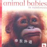 Animal Babies in Rainforests Jennifer Schofield