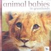 Animal Babies in Grasslands