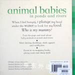 Animal Babis In Ponds And Rivers