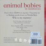 Animal Babies in Rainforest
