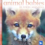 Animal Babies in Towns and Cities Jennifer Schofield