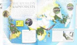 Navigators: Rainforests