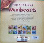 Minibeasts